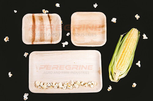 Rectangle-tray-Peregrine-agro.jpg